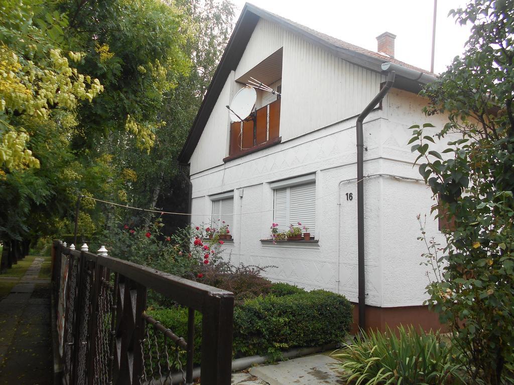 Villa Abacsko Haz à Abádszalók Extérieur photo